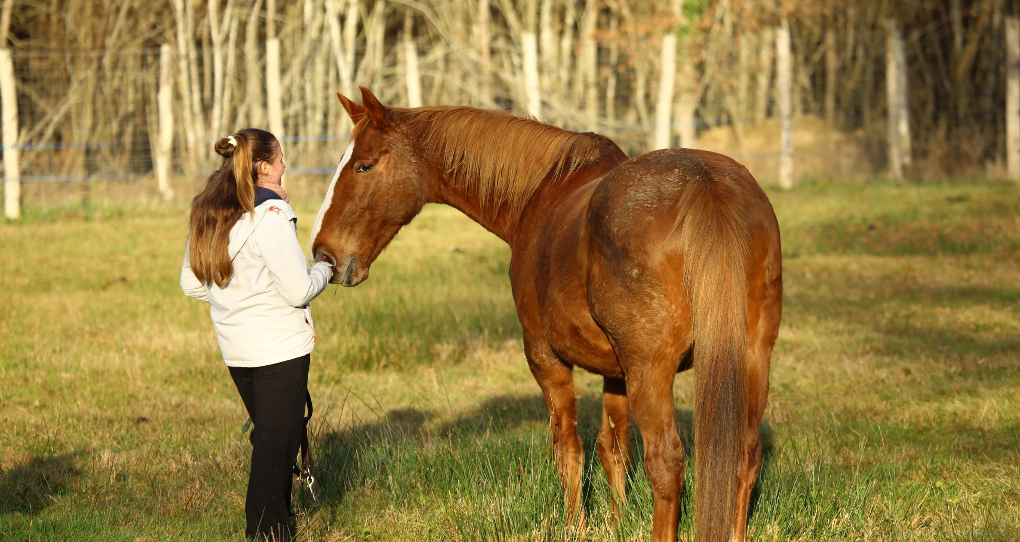 Cheminer avec les chevaux 